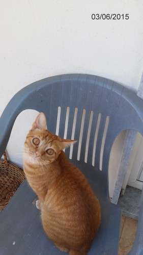 agriculturavaranda3.jpg agriculturavaranda3.jpg