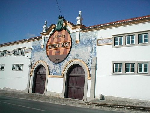 Adega Visconde Salreu