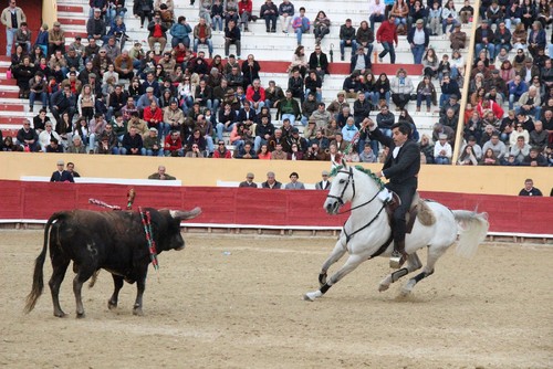 2 - luis rouxinol.jpg