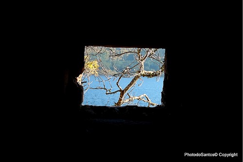 IMG_9397 - Cópia - CópiaAnd2more_fused.jpg