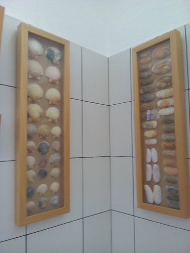 Conchas Exposição Altura 2016. Foto original DAPL jpg Conchas Exposição Altura 2016. Foto original DAPL jpg