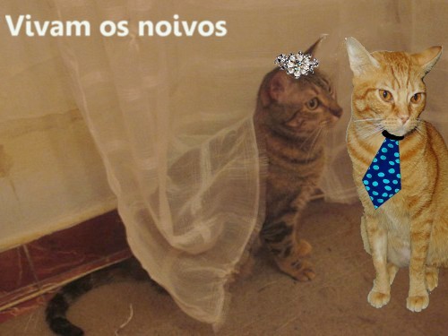 viva-os-noivos.jpg viva-os-noivos.jpg