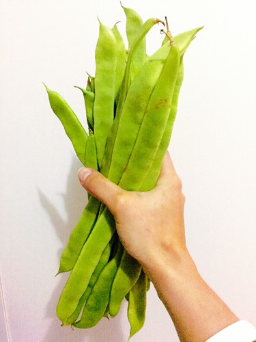 IMG_5466.JPG IMG_5466.JPG