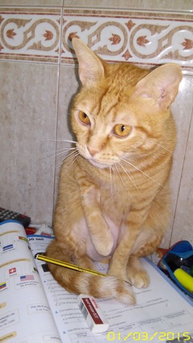 estudar02.jpg estudar02.jpg