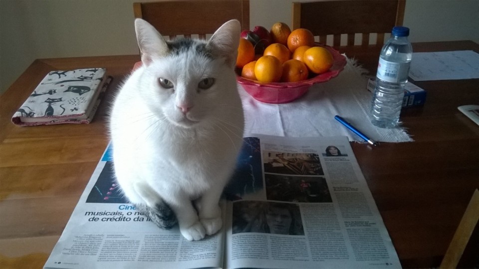 bom dia.jpg bom dia.jpg