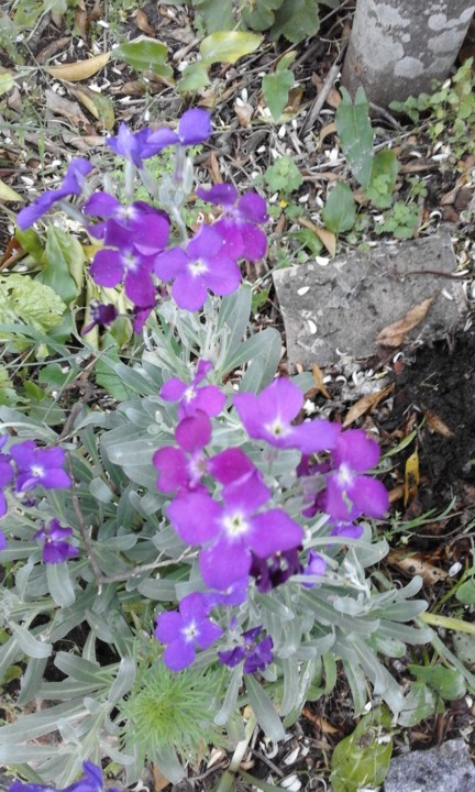 Foto Original. 2020.04. jpg