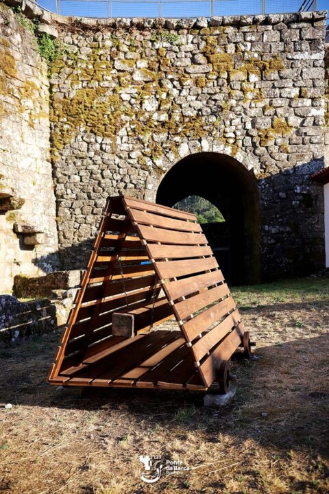 523374820_751123631000354_3918961677030625273_n.jp