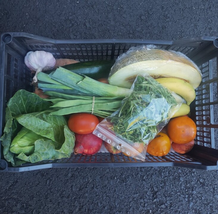 559548423_18503034697066958_6327960982256223195_n.