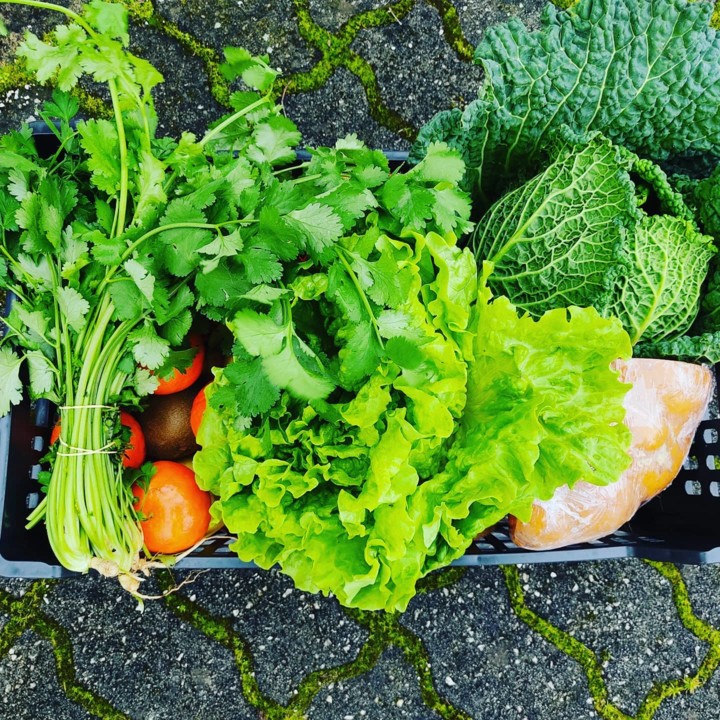 144734286_1940086019464483_6965881665083294787_o.j