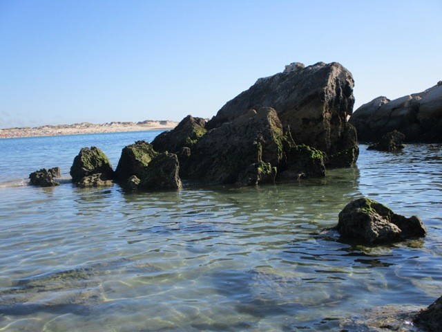 240971107_143622047932135_6897604054271695923_n.jp