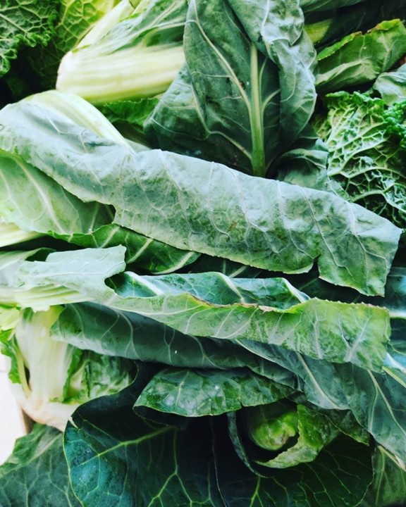 117605239_1783276585145428_2529190376195911157_o.j