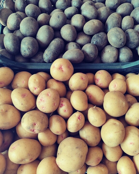 357386633_648859953938085_3646978705550831608_n.jp