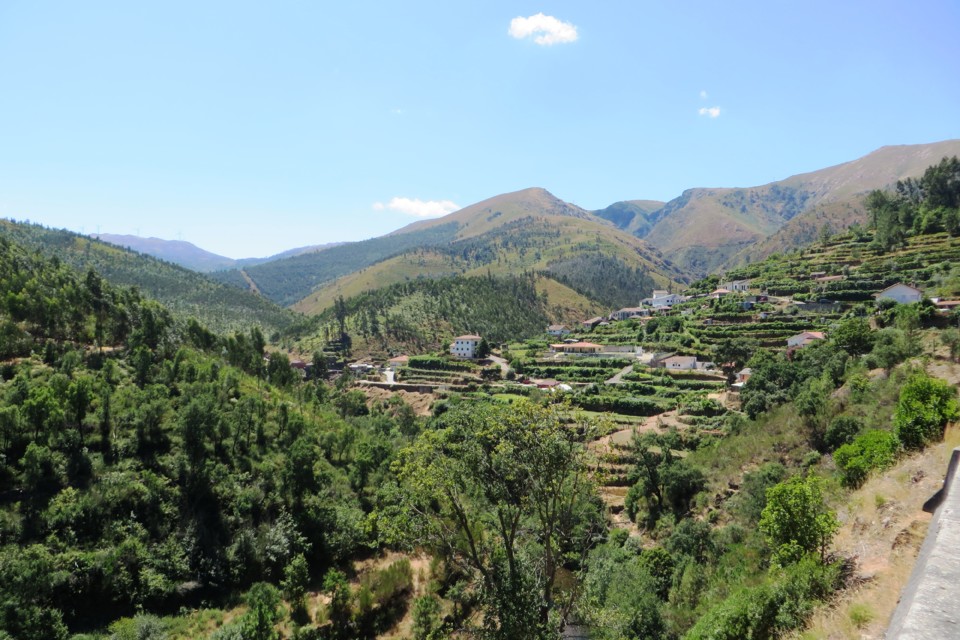 IMG_3430.JPG IMG_3430.JPG