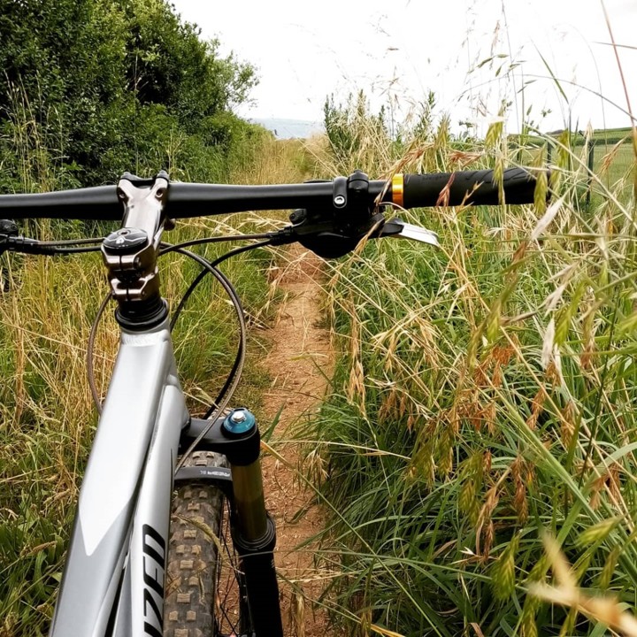 FSRxc_trilho.jpg FSRxc_trilho.jpg