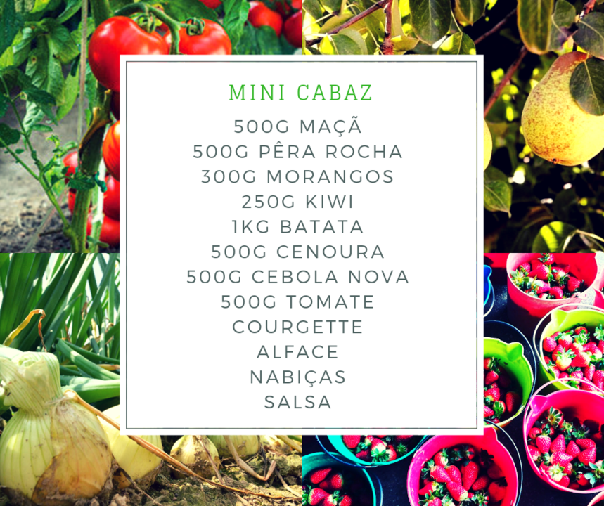 MiniCabazAbr.png MiniCabazAbr.png