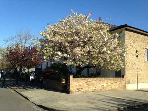 IMG_2013.JPG IMG_2013.JPG