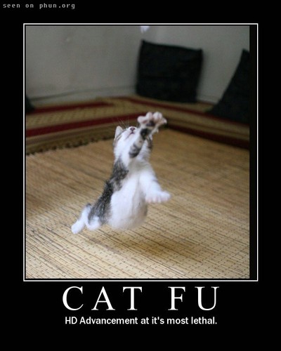 Cat Fu