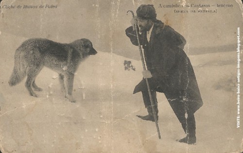 Caminheiro Serra Estrela.jpg