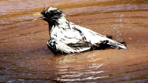 DSC02537.jpg DSC02537.jpg