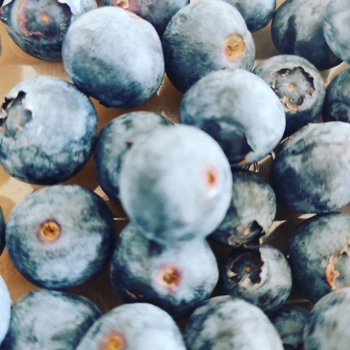 273657544_2236211539851928_5790475946538232451_n.j