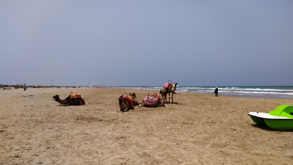 IMG_20190722_134631.jpg IMG_20190722_134631.jpg