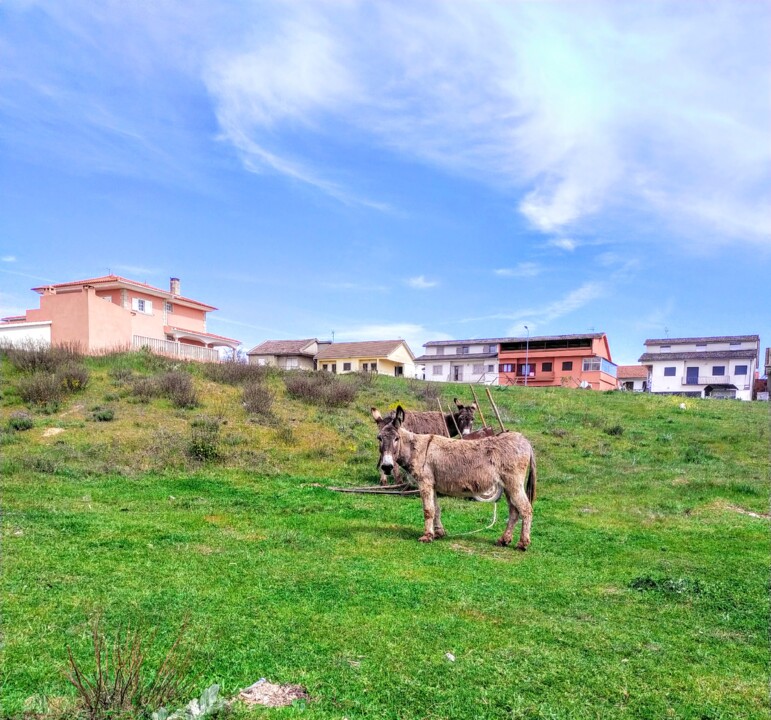 IMG_20220421_145417 (1).jpg