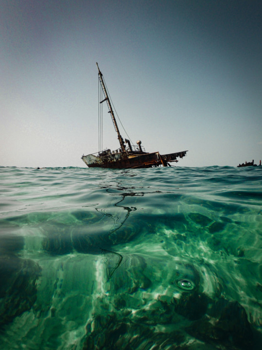 20180302 2018 Farasan D.jpg