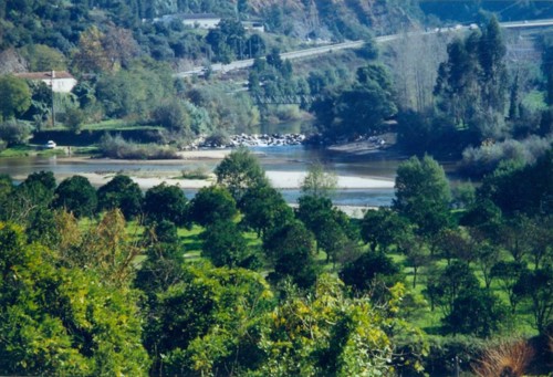 Foz do rio Ceira vista do Palácio.jpg