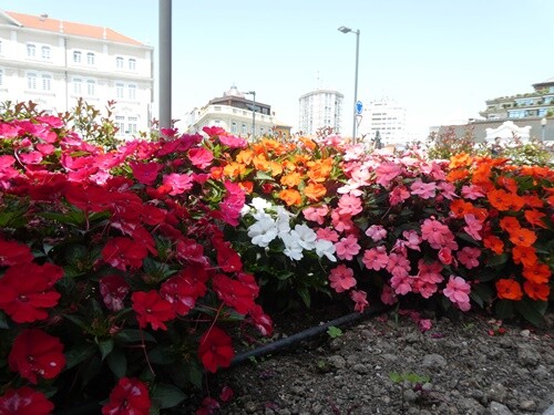 P1044690.JPG