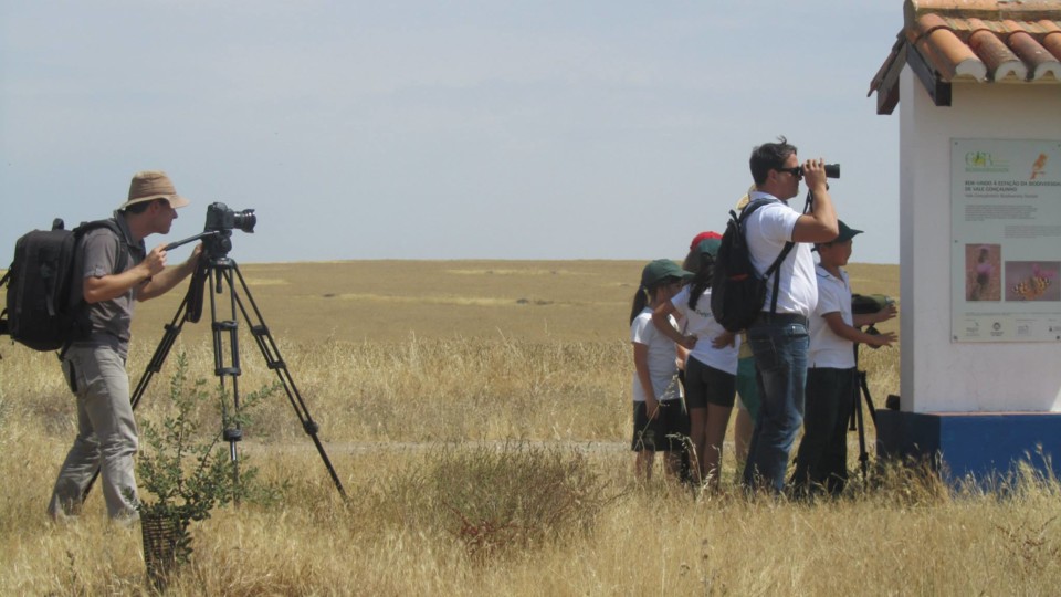 10818241_753861918066738_1868376966975567119_o.jpg 10818241_753861918066738_1868376966975567119_o.jpg