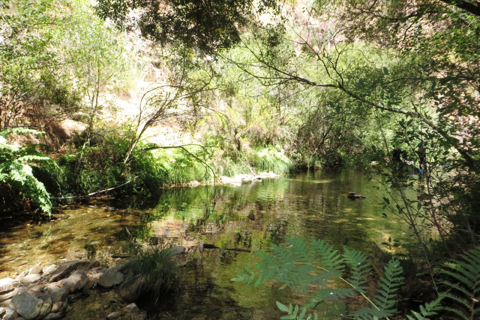 IMG_3481.JPG IMG_3481.JPG