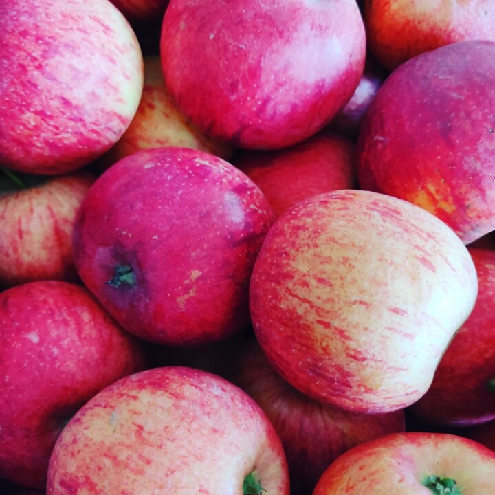 308916558_2418993418240405_1004648416719378163_n.j