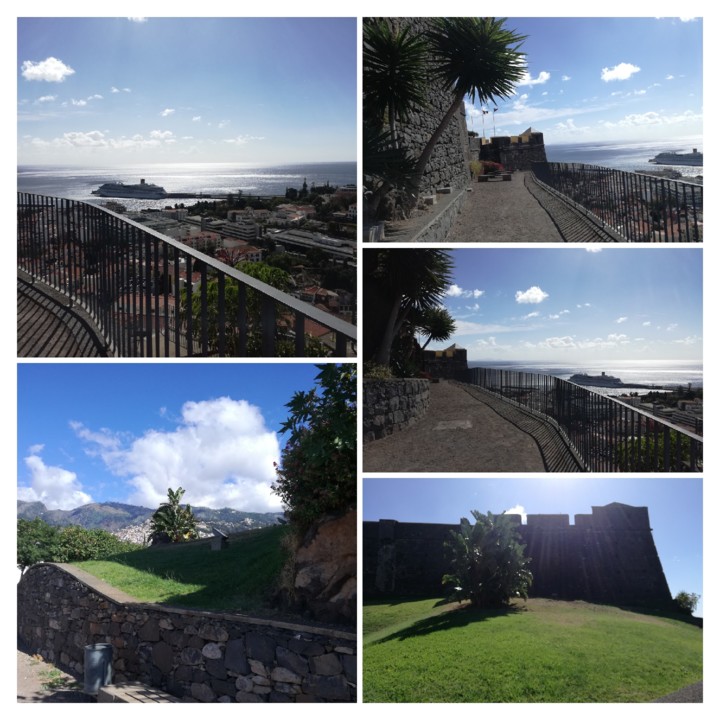 IMG_20191020_121803-COLLAGE.jpg IMG_20191020_121803-COLLAGE.jpg