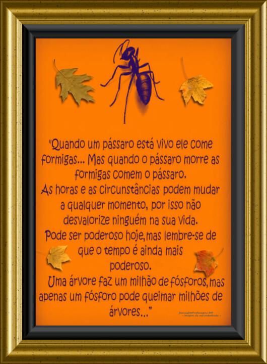 O poder do tempo.jpg