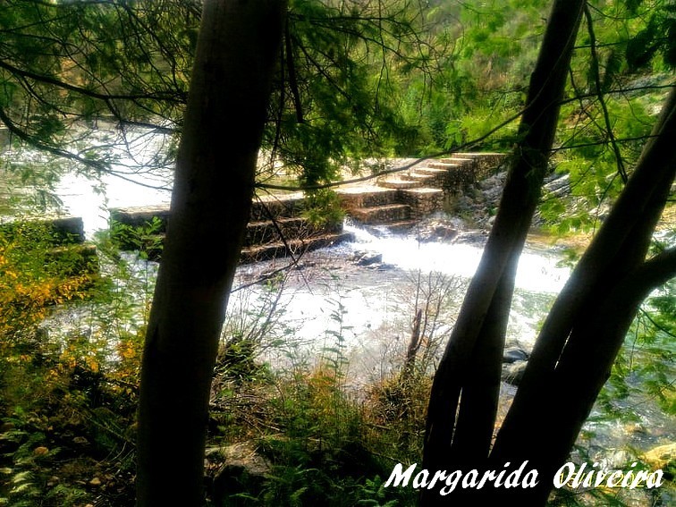 131453319_392112868745664_4851728035661727093_n.jp