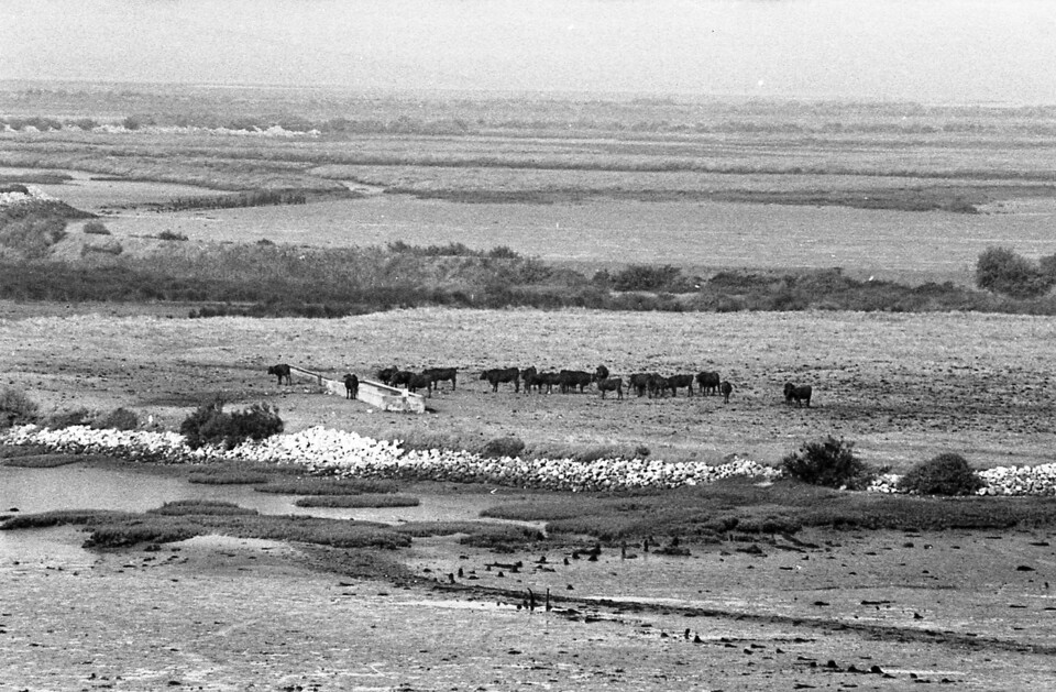 PT_AHMALCS_CMALCS_FOTOGRAFIAS_ 01_ 0693.jpg