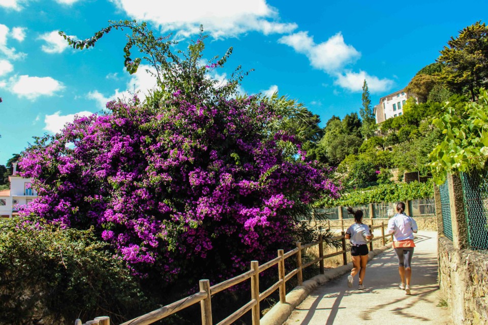 trilho das vinhas-54.jpg