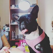 13438971_1236008976418535_4649909464297032893_n.jp 13438971_1236008976418535_4649909464297032893_n.jp