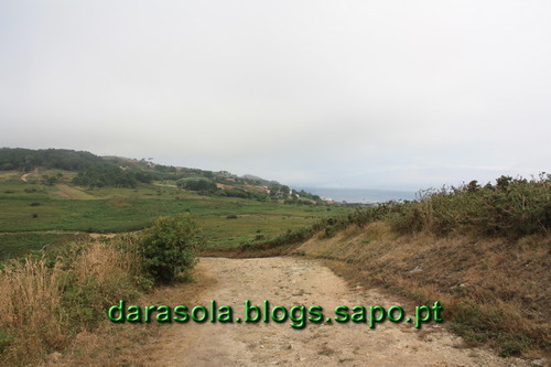 Ilha_Ons_20.JPG Ilha_Ons_20.JPG