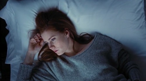 Nocturnal Animals 4.jpg Nocturnal Animals 4.jpg