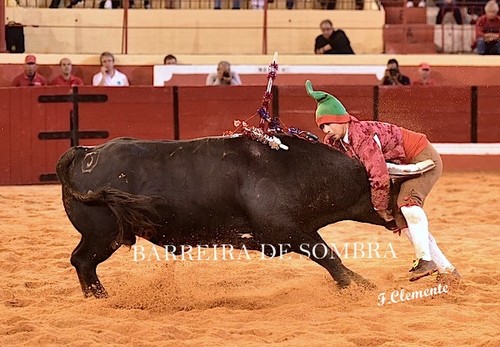 BARREIRA DE SOMBRA21-52-DSC_5495.JPG