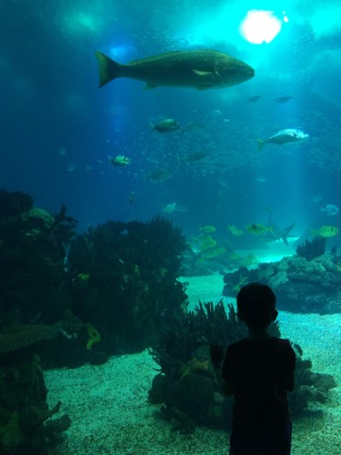 IMG_4848.JPG IMG_4848.JPG