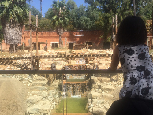 image.jpeg image.jpeg