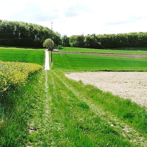 18486187_1450088248346270_5632962957974681600_n.jp