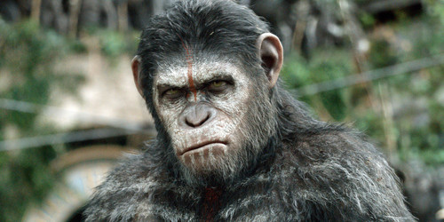o-DAWN-OF-THE-PLANET-OF-THE-APES-facebook.jpg