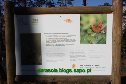 Biodiversidade_Freita_02.JPG Biodiversidade_Freita_02.JPG