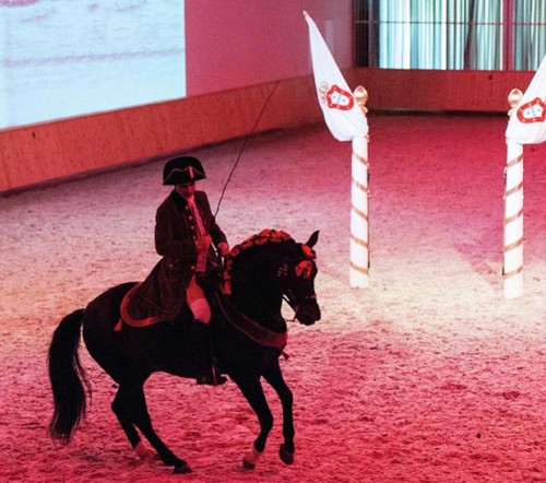ESCOLA PORTUGUESA DE ARTE EQUESTRE - APRESENTAÇÕ