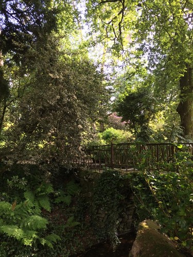 11011466_10202690886913482_269740566511492316_n.jp 11011466_10202690886913482_269740566511492316_n.jp