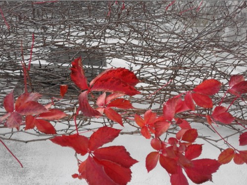 Enredo. Original DAPL. 2017.jpg