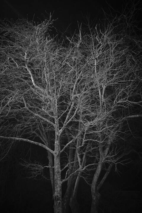 descarregar (5).jfif